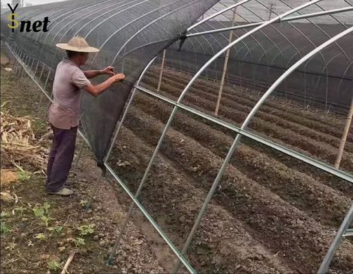 2*100m 4*50m Sun Shade Net 40% 70% 90% HDPE Shade Sail For Garden