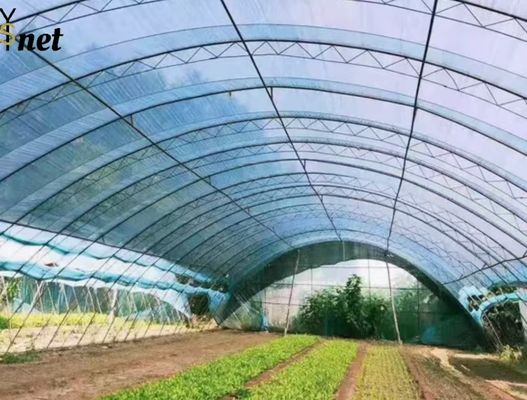 Sợi phẳng HDPE vải bóng 6 * 50m 8 * 50m Nhà kính vải bóng mặt trời