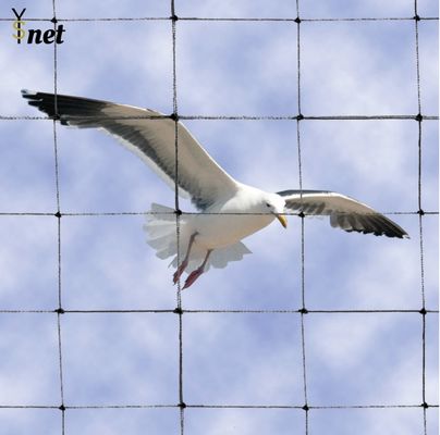 " 2 " Red a prueba de pájaros Proof Rot / Waterproof Pigeon Control Anti Bird Net
