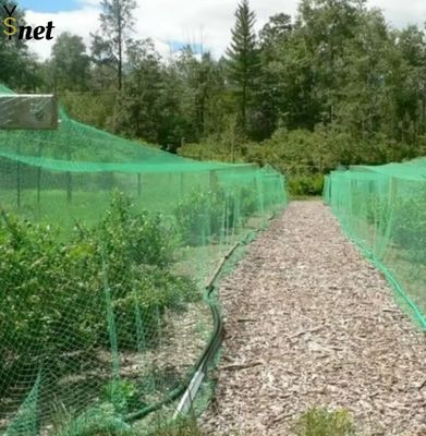 Mạng lưới chim chống tia cực tím bền 40M Mạng lưới chim cây trái cây tùy chỉnh