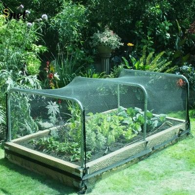 Mạng lưới chim chống tia cực tím bền 40M Mạng lưới chim cây trái cây tùy chỉnh