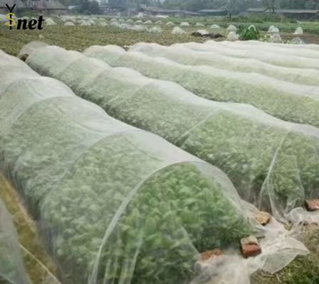 곤충 방지 나일론 정원 망 채소 정원에 맞춤형 새 망