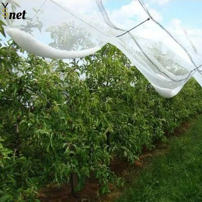 Mạng chống mưa đá cho cây táo nông nghiệp Mạng chống mưa đá Mạng chống mưa đá với cột