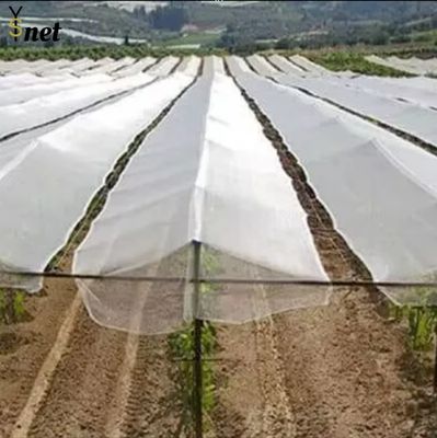 Mạng chống mưa đá cho cây táo nông nghiệp Mạng chống mưa đá Mạng chống mưa đá với cột