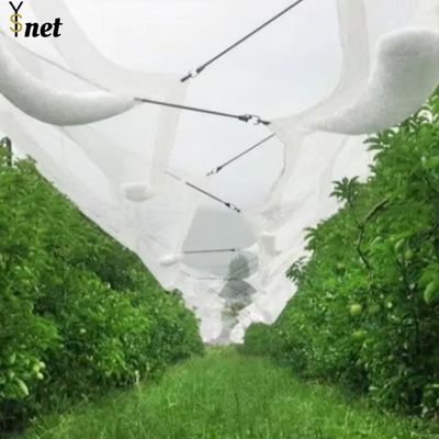 Redes duraderas contra granizo 50m 100m Redes de aves para viñas y manzanos