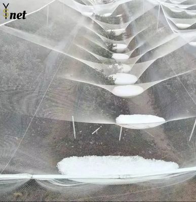 Redes duraderas contra granizo 50m 100m Redes de aves para viñas y manzanos