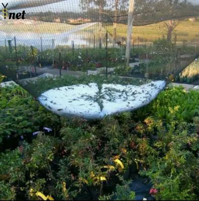 Redes duraderas contra granizo 50m 100m Redes de aves para viñas y manzanos