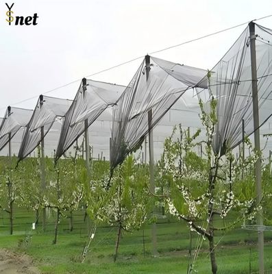 Redes duraderas contra granizo 50m 100m Redes de aves para viñas y manzanos