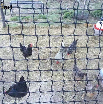 China Supplier Netting X 50' Anti-bird Net for Bird Poultry Aviary. Bird protection netting or pigeon nets simply reverse the function of aviary nets.